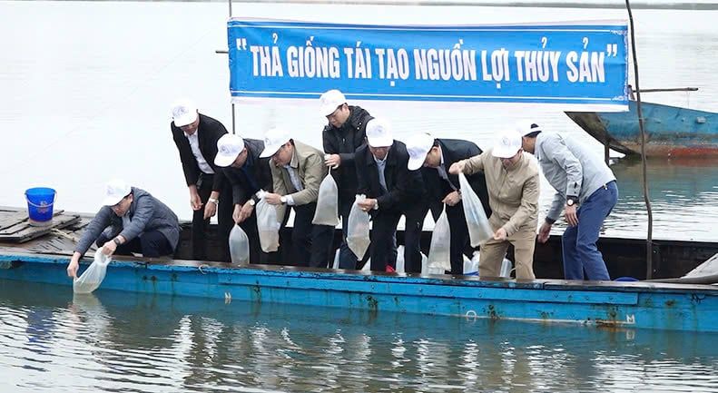 Quảng Bình thả tôm, cá giống tái tạo nguồn lợi thủy sản