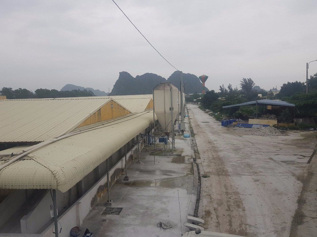 Thú y Hải Phòng sau sáp nhập: [Bài 1] Nền tảng từ chiến lược đầu tư toàn diện