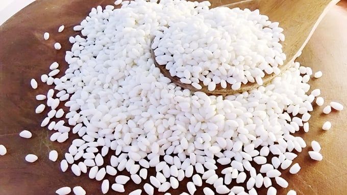 Giá lúa gạo hôm nay 21/7/2025: Thị trường ổn định
