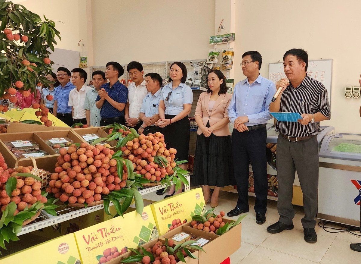 Nông nghiệp Hải Phòng kỳ vọng đột phá sau sáp nhập