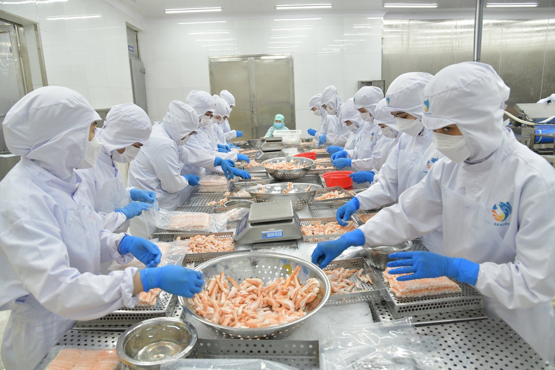 Thủy sản 'vững sóng' vươn tầm: [Bài 1] Dấu ấn một hành trình