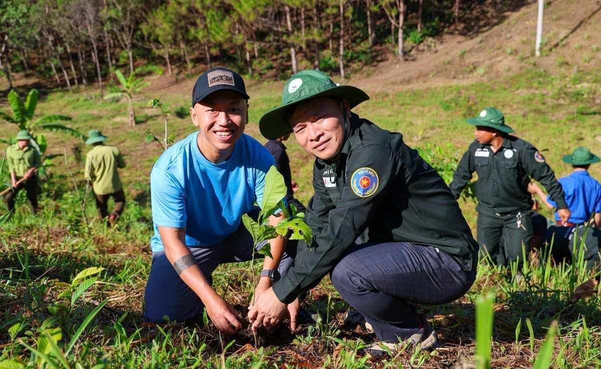 Giữ rừng và dựng tương lai xanh [Bài 1]: Từ mất rừng nghiêm trọng thành điểm tham chiếu toàn cầu