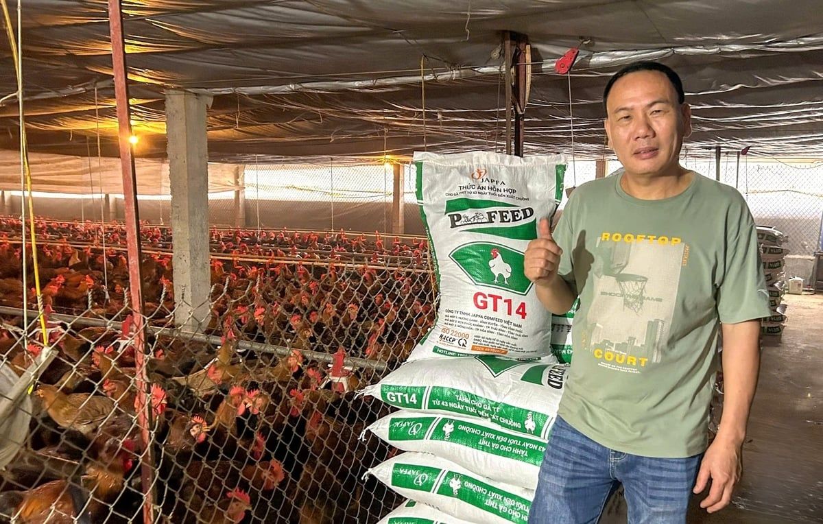 Trang trại chăn nuôi an toàn sinh học của chủ đại lý cám tại Phú Thọ