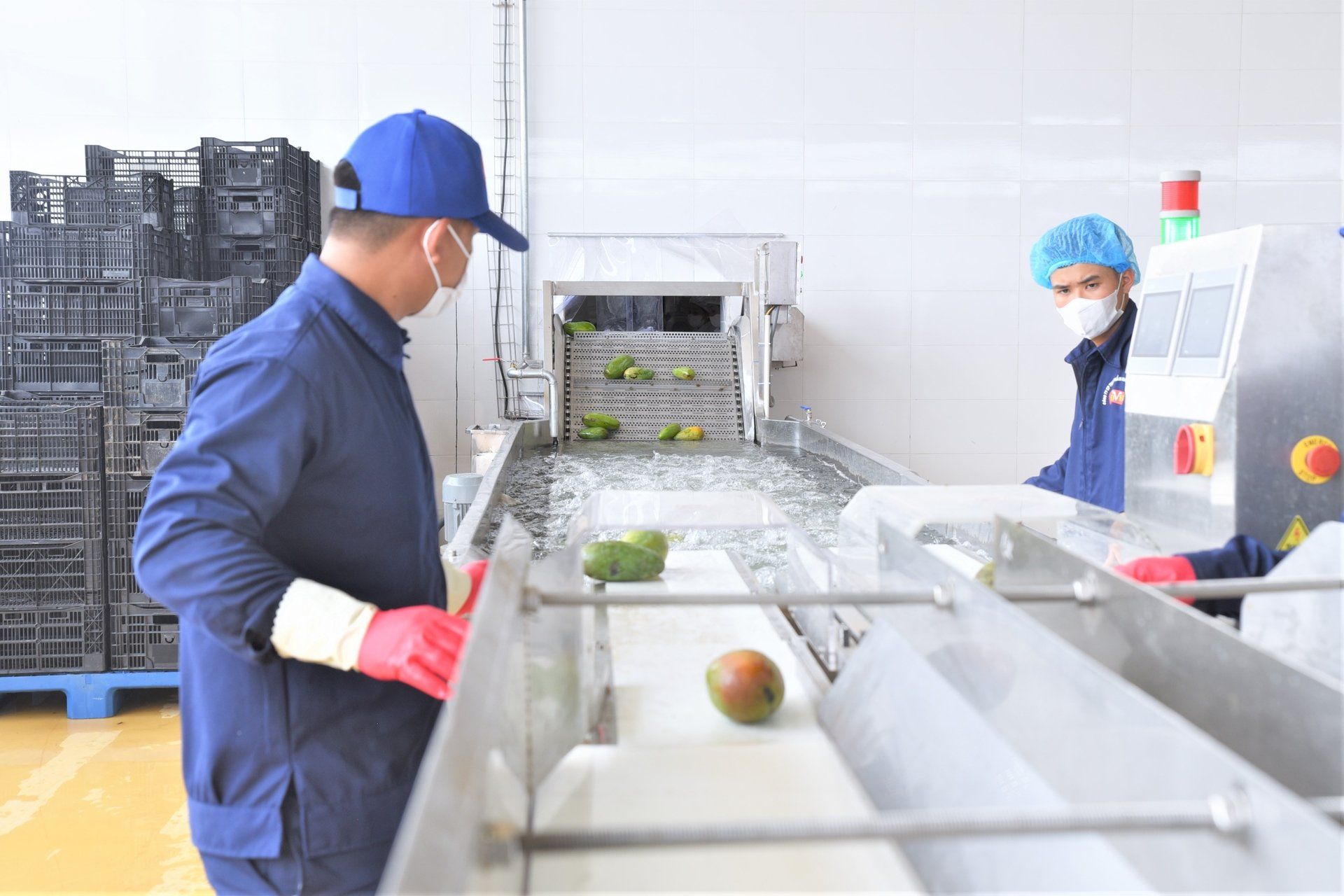 Chương mới trong phát triển nông nghiệp miền núi phía Bắc