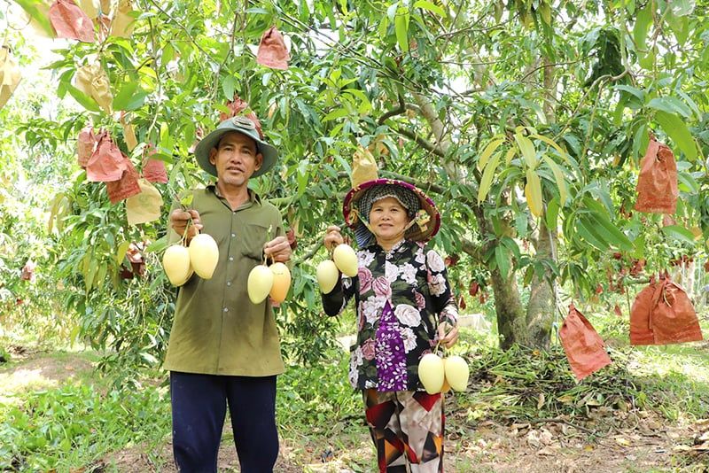 Đây là một xã của tỉnh Đồng Tháp (mới), dân đang giàu lên, nông thôn hiện đại, trái cây ngon treo đầy vườn đẹp như phim