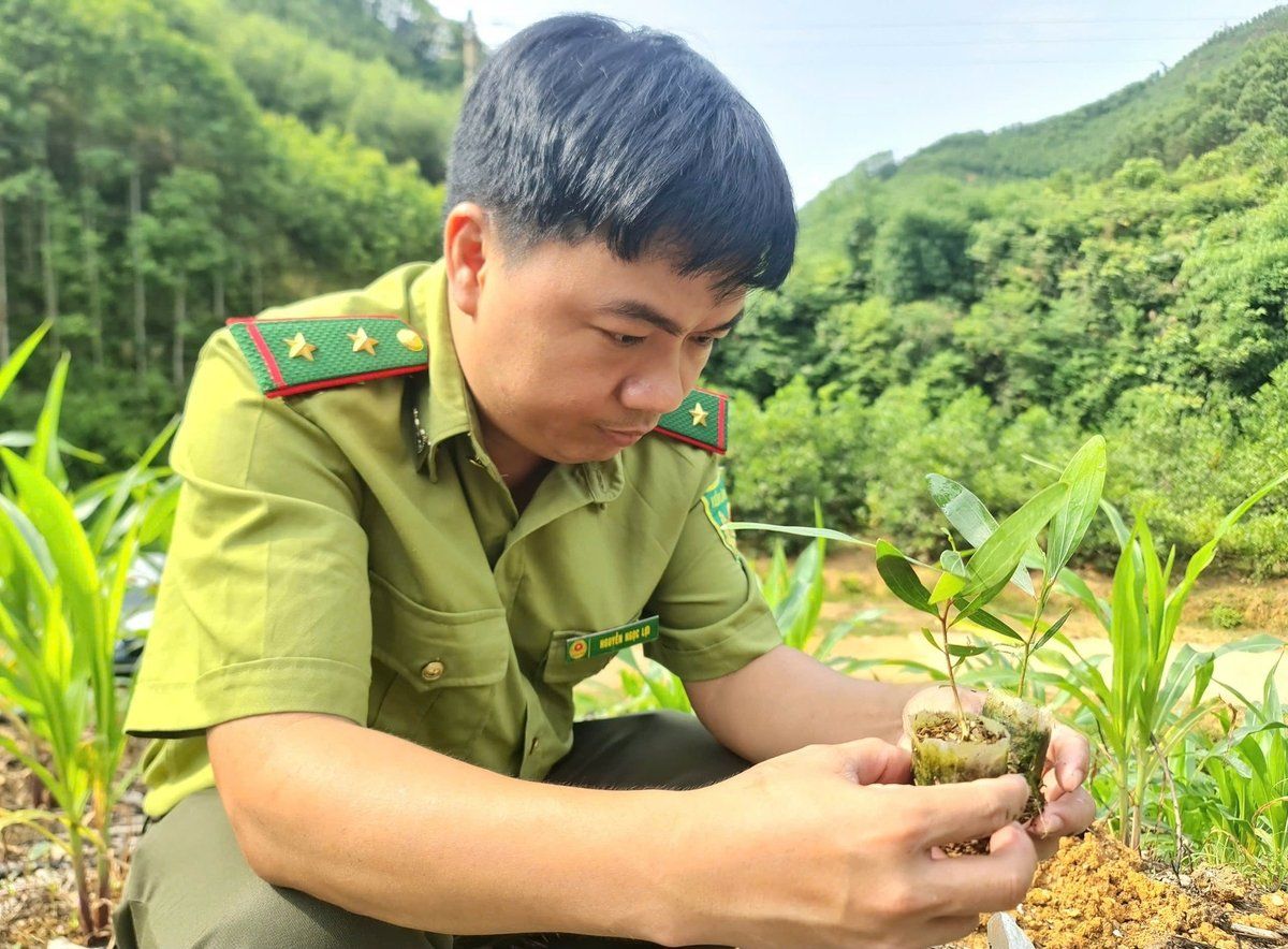 Hiện đại hóa vườn ươm bằng bầu hữu cơ siêu nhẹ