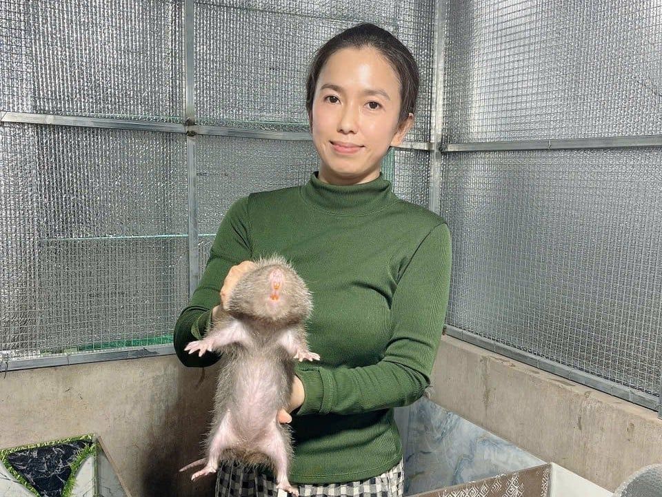 Nuôi 300 con dúi, 300 gà đen mang lại doanh thu nửa tỷ đồng
