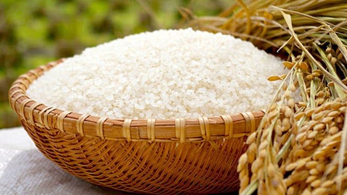 Giá lúa gạo hôm nay 18/9/2025: Gạo tăng từ 100-150 đồng