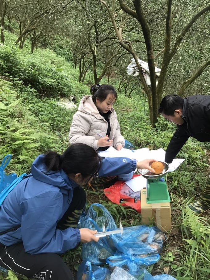 Khám tổng thể sức khỏe đất: [Bài 2] Sử dụng đất là bài toán vô cùng linh hoạt