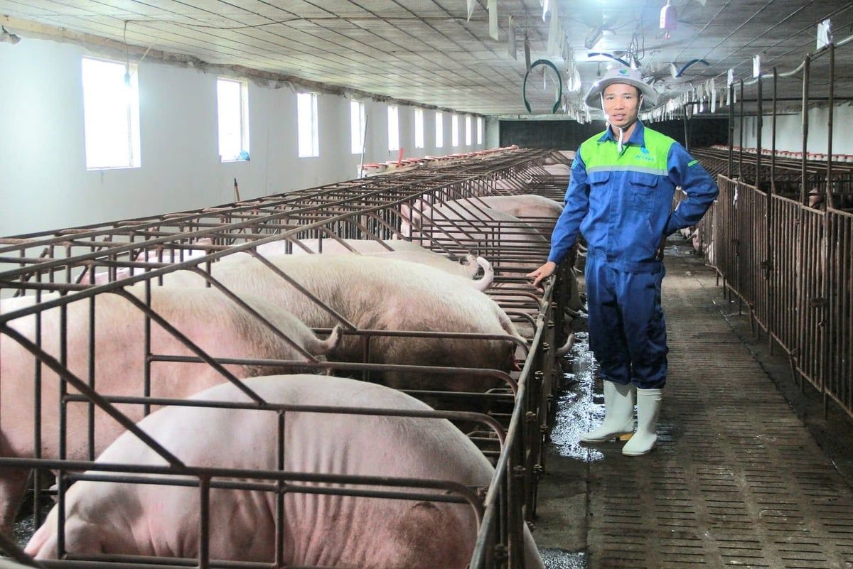 Phát huy thế mạnh giúp người dân Nam An Phụ làm giàu