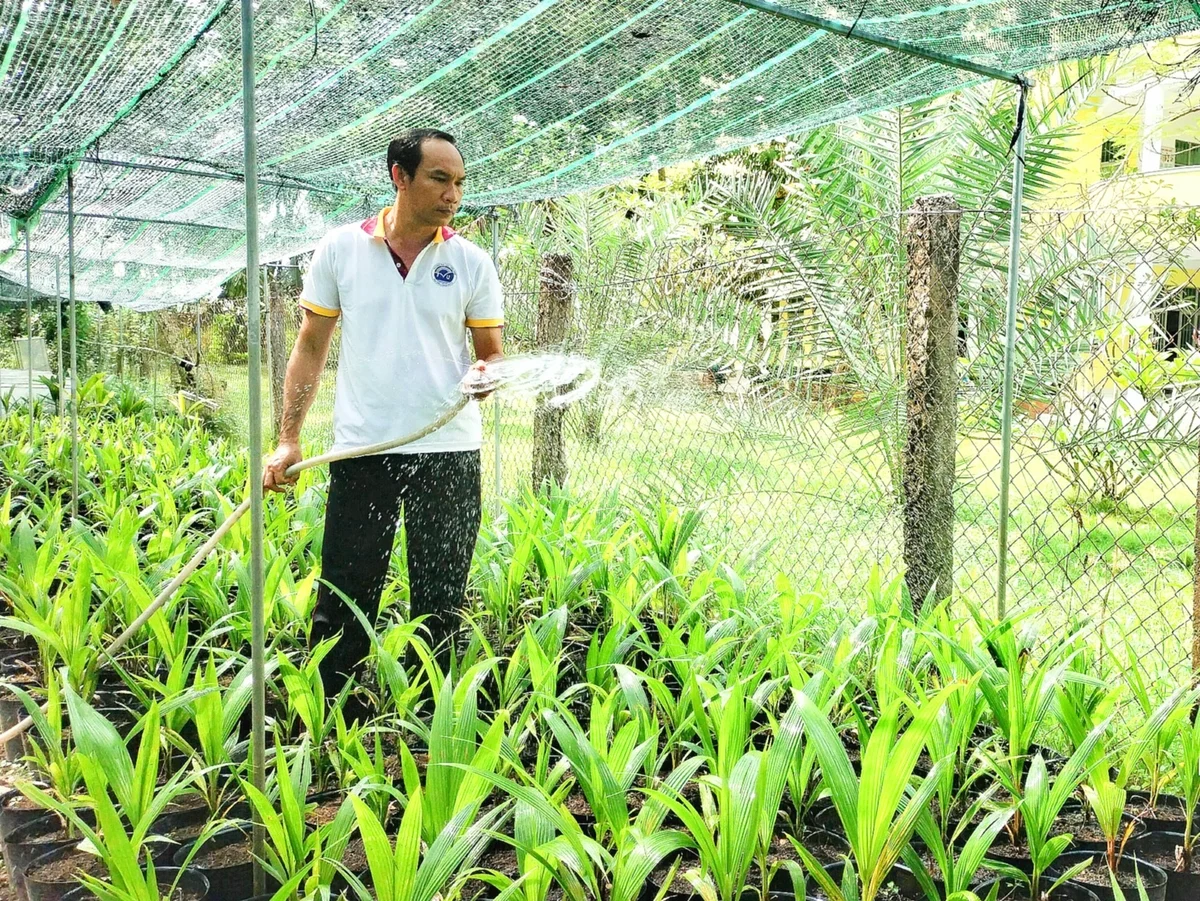 'Chìa khóa' nâng giá trị ngành hàng dừa vùng ĐBSCL
