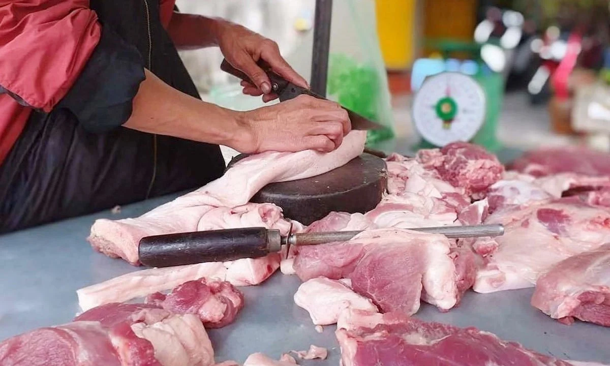 Giá heo hơi hôm nay 2/12/2025: Tăng lên mốc 57.000 đ/kg