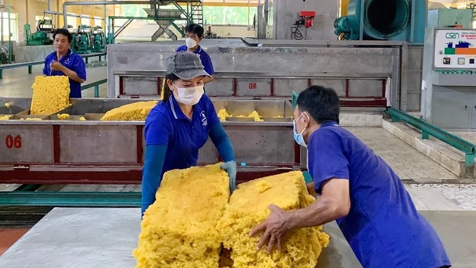 Giá cao su hôm nay 8/12/2025: Biến động trái chiều