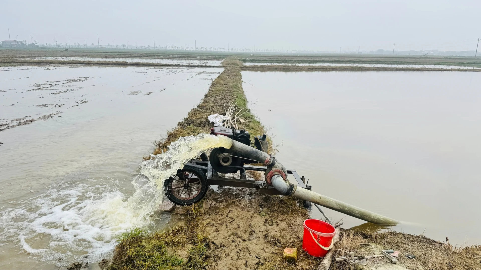 Hà Tĩnh 'đi trước một bước' sản xuất vụ xuân