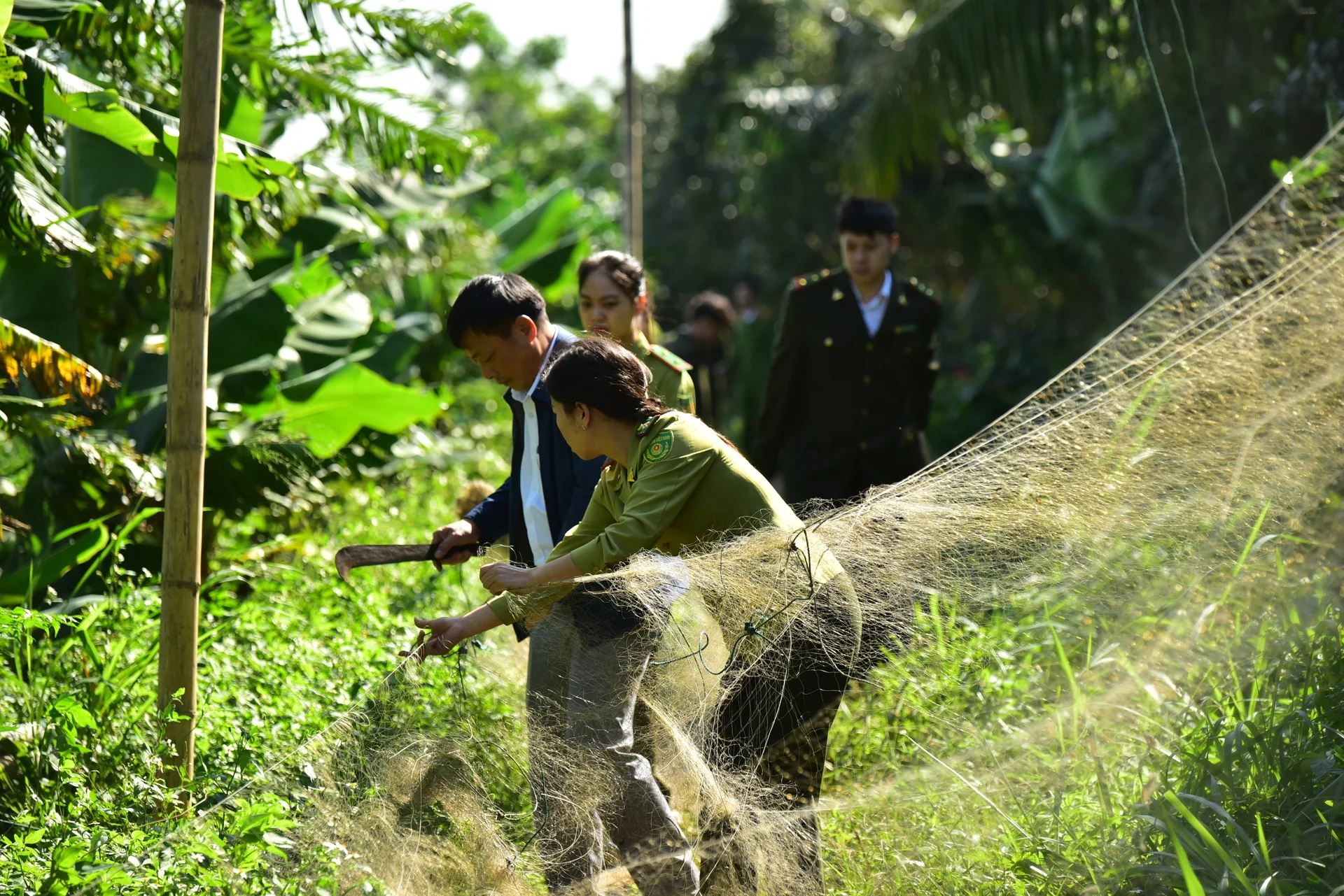 Đẩy mạnh liên kết trong quản lý, bảo vệ và phát triển rừng, hướng đến mục tiêu chuyển đổi xanh