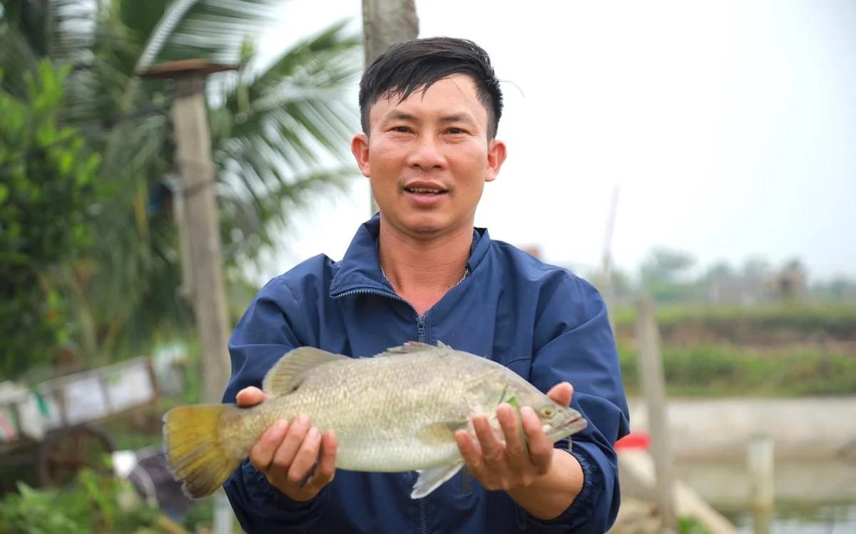 Phát triển kinh tế VAC trong kỷ nguyên xanh và tuần hoàn