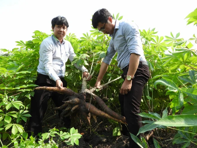 Công nghệ sinh học - nền tảng của nông nghiệp thích ứng