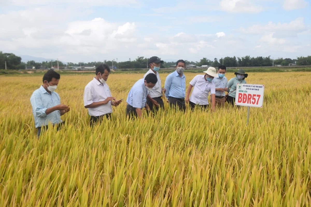 Ngành nông nghiệp và Môi trường Gia Lai vượt khó, tăng trưởng ngoạn mục