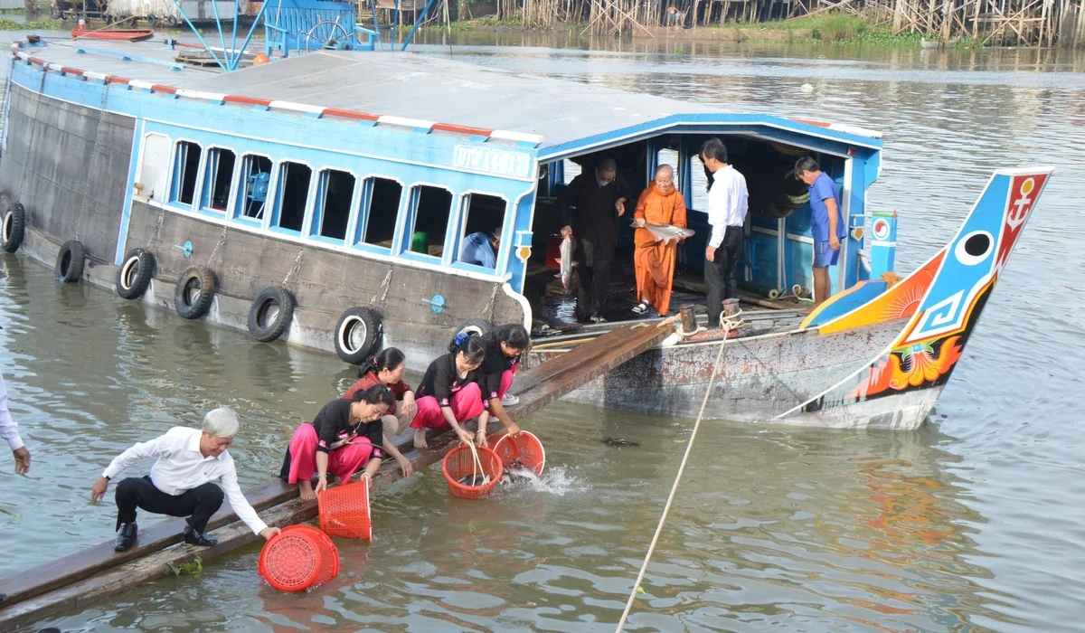 Đồng Tháp tăng cường bảo vệ và phát triển nguồn lợi thủy sản