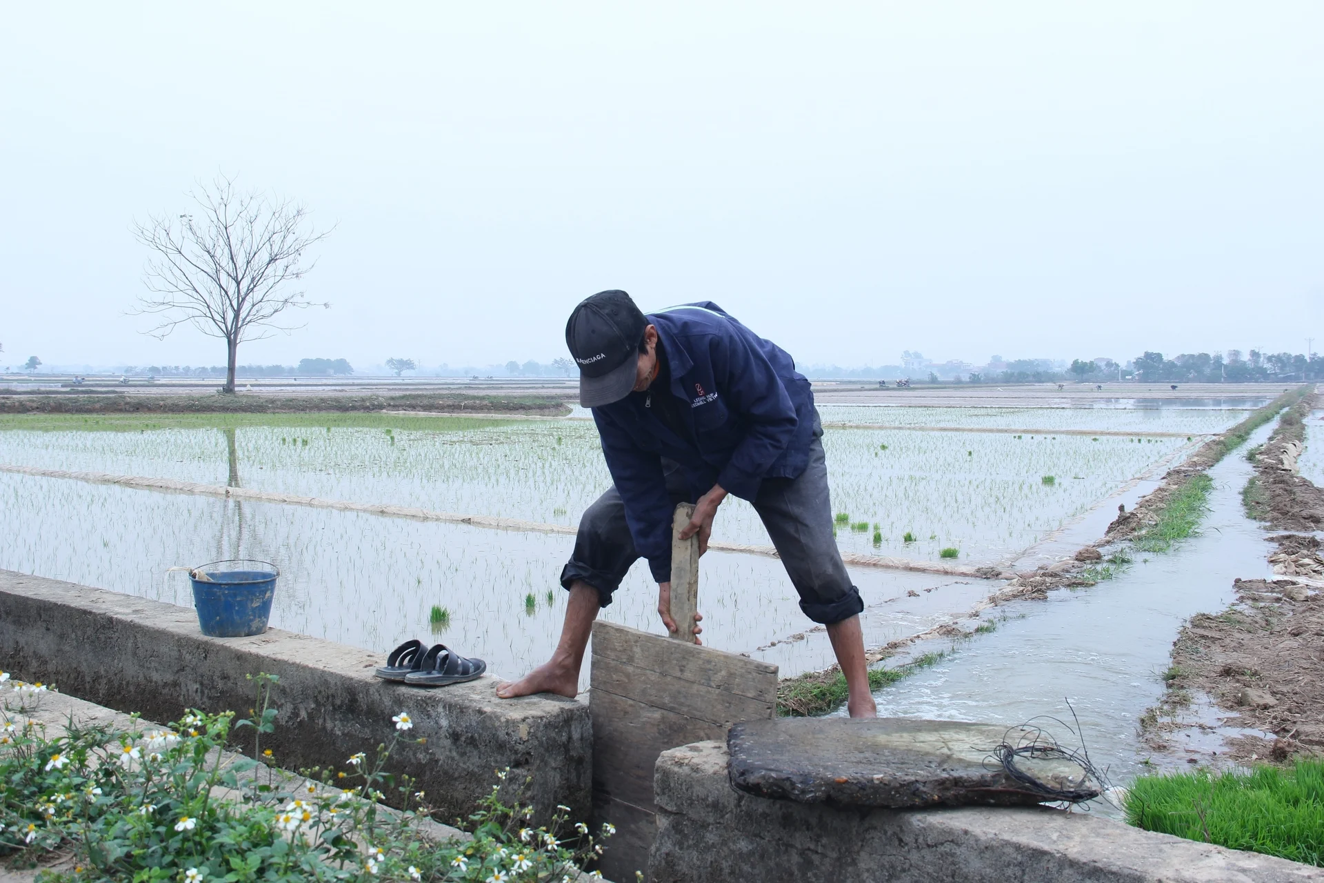 Lưu ý chỉ đạo sản xuất vụ đông 2025 và vụ đông xuân 2025 - 2026