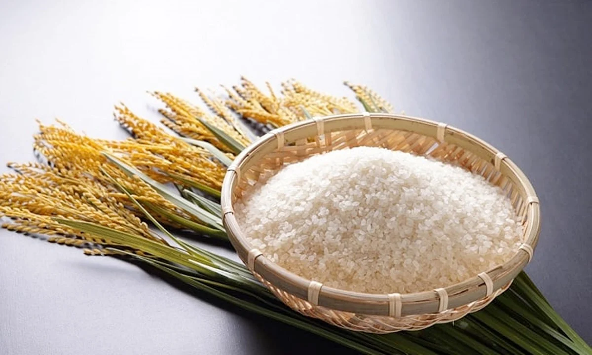 Giá lúa gạo hôm nay 27/1/2026: Gạo quay đầu giảm giá