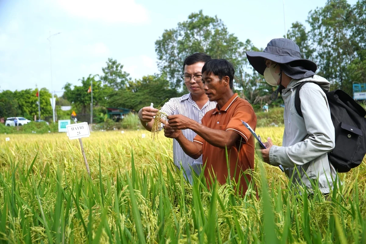 Kiện toàn tổ khuyến nông cộng đồng, bảo đảm hoạt động liên tục