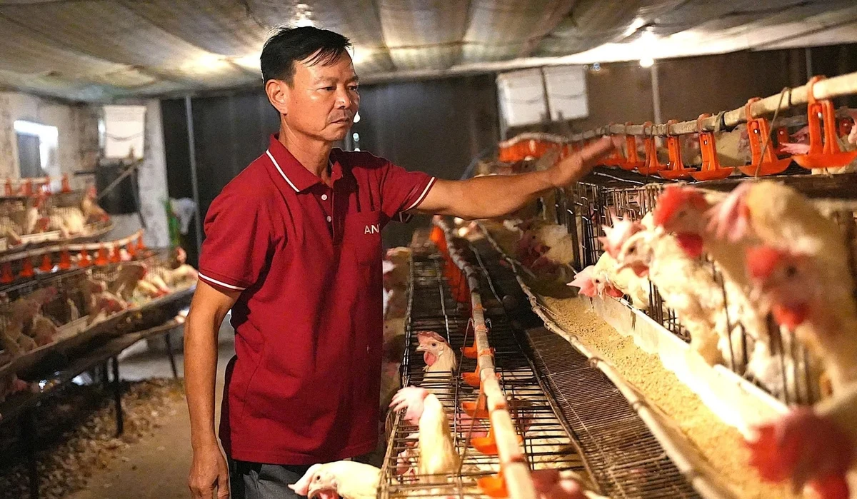 Tổng GRDP nông, lâm, ngư nghiệp của Nghệ An đạt 49.432 tỷ đồng