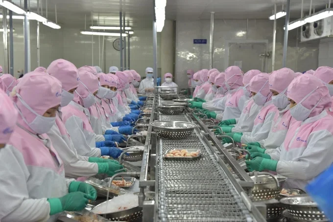 Giảm thuế POR19, tôm Việt Nam thêm cơ hội tại Hoa Kỳ